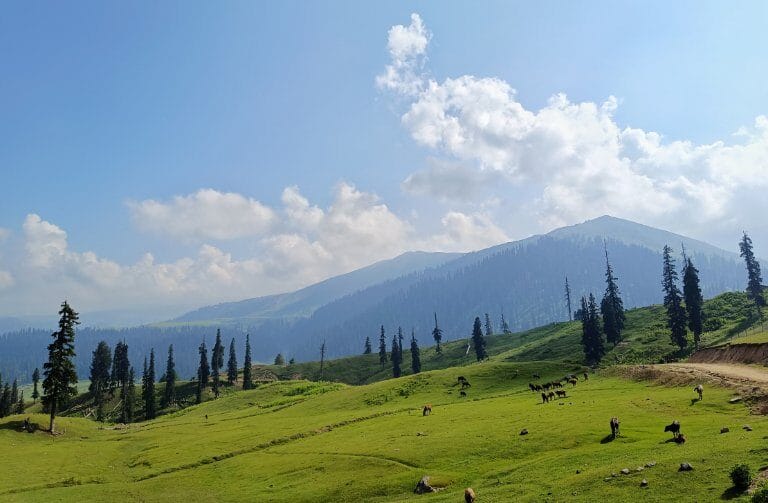 Tosamaidan Trek 7 Days 6 Nights Package