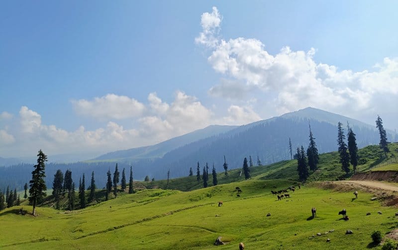 Tosamaidan Trek 7 Days 6 Nights Package